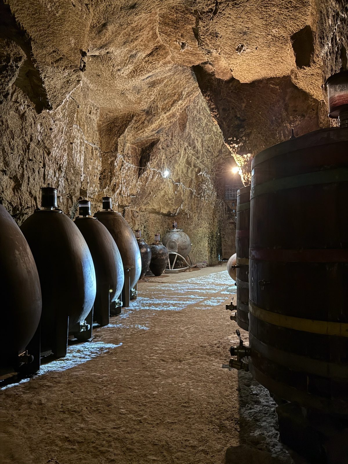 Amphorae and oak barrels resting in the estate's tuffeau cave